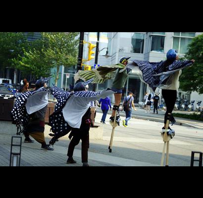 18birdsonparade