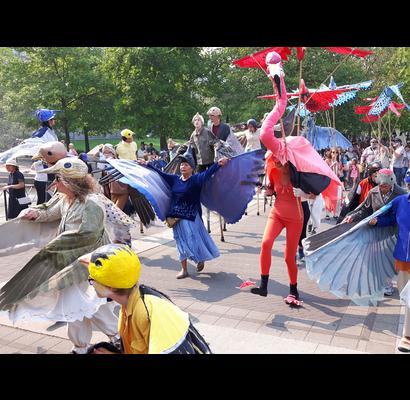 1birdsonparade