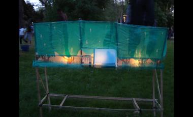 6.hedge.night